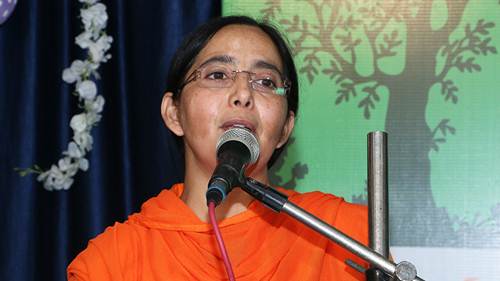 divya-jayoti-jagriti-sansthan-celebrationg-teez-hoshiarpur-punjab.jpg