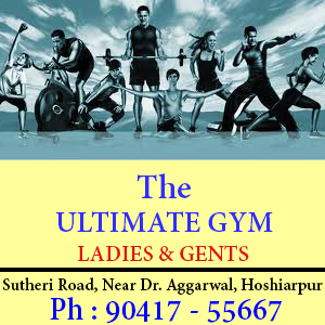 ultimate gym