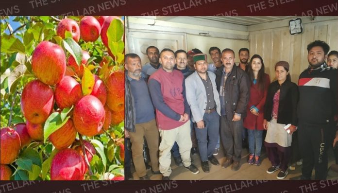apple in himachal
