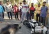 सड़क हादसे में स्कूटर सवार बिक्रमजीत सिंह की मौत, टिप्पर चालक मौके से फरार