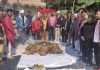 वैष्णों धाम में श्रद्धापूर्वक हवन कर मनाया मूर्ति स्थापना दिवस
