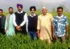 ਖੇਤੀ ਦੇ ਨਾਲ ਸਹਾਇਕ ਖੇਤੀ ਧੰਦੇ ਆਪਣਾ ਕੇ ਕੀਤੀ ਜਾ ਸਕਦੀ ਹੈ ਆਰਥਿਕ ਸਥਿਤੀ ਮਜਬੂਤ : ਡਿਪਟੀ ਕਮਿਸ਼ਨਰ