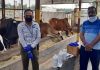 डा. बाली ने किया नई सोच गौधाम का निरीक्षण, प्रबंधों पर जताया संतोष