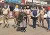एस.डी.एम. ज्योति बाला ने किया तलवाड़ा का दौरा, मीडिया की भूमिका को सराहा