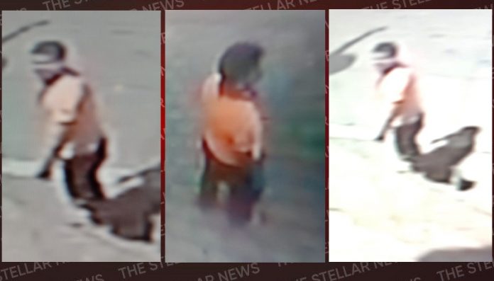 suspected in narain nagar