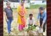 जीवनदायिनी आक्सीजन व हरियाली के लिए पौधारोपण जरुर करें: संजीव अरोड़ा