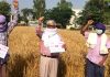 “कोरोना को भी हराना है मजदूरों को भी बचाना है”: डा. बग्गा