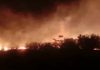 Forest department gears up to control forest fires