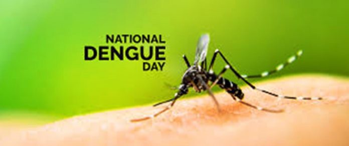 national dengue day