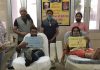 तलवाड़ दंपत्ति की प्रेरणा से वरूण व प्रिया ने रक्तदान कर मनाया बेटे का जन्मदिन
