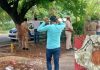 कटा हुआ पैर मिलने से इलाके में सनसनी, जांच में जुटी पुलिस