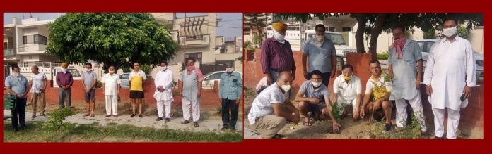 dr-nanda-plantation-rahul-gandhi-hoshiarpur
