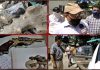 खैर की लकड़ी चोरी कर ले जाते सुरिंदर व लखविंदर हथियार सहित काबू
