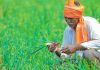 Punjab government extends deadline for farmers till August 5 to apply for benefits under Sarbat Health Insurance Scheme