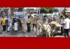 रोटरी क्लब होशियारपुर नॉर्थ ने कोरोना के प्रति लोगों को कर रहा जागरुक, लोगों को वितरित किए जा रहे मास्क और अन्य सामग्री