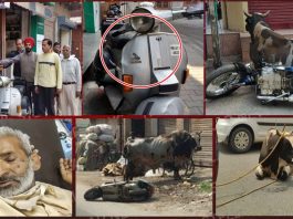 आवारा सांड ने मचाया उत्पात, लोगों को किया चोटिल, वाहन क्षतिग्रस्त, कड़ी मशक्कत से पहुंचाया कैटल पोंड फलाही