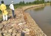 मगनरेगा के अंतर्गत गांव टेरकियाना में बनाई गई 100 फुट की रिवेटमेंट