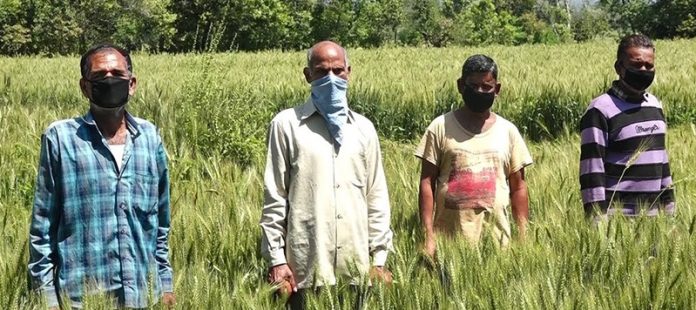 Farmers-subsidy