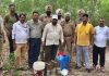 आबकारी विभाग व पुलिस की टीम ने ब्यास दरिया किनारे से बरामद की 2 हजार किलो लाहन व नाजायज़ शराब