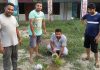वातावरण को शुद्ध व साफ रखने के मकसद से गांव पंडोरी में किया गया पौधारोपण