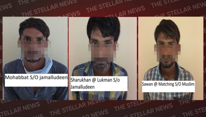 MURDER CASE SOLVE