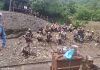 मंडल प्रधान ने कोल माइन का दौरा कर सुनी मजदूरों की समस्याएं