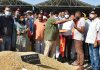 Cabinet Minister Sunder Sham Arora starts paddy procurement in Hoshiarpur