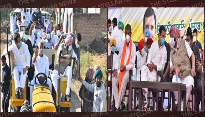 GADDAR’ AKALIS, YOU HANDLE BJP GOVT AT CENTRE’, CAPT AMARINDER TELLS RAHUL (1)