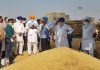 SECRETARY MANDI BOARD TAKES STOCK OF PROCUREMENT IN MANDIS OF PATIALA, FATEHGARH SAHIB AND MOHALI DISTRICTS