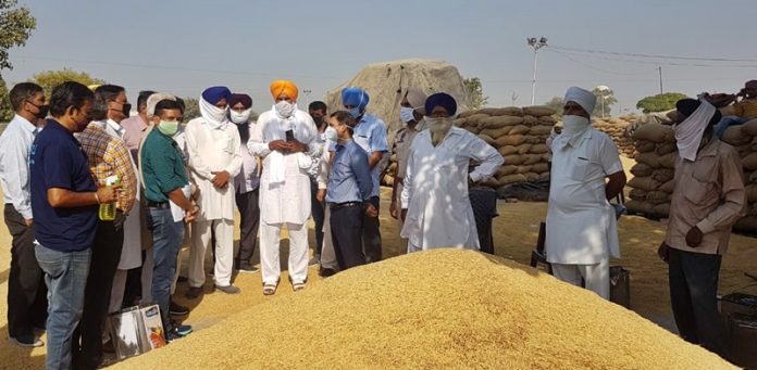 SECRETARY MANDI BOARD TAKES STOCK OF PROCUREMENT IN MANDIS OF PATIALA
