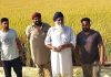 पिछले 5 वर्षों से पराली को बिना आग लगाए वातावरण सरंक्षण का संदेश दे रहे हैं किसान दलेर सिंह