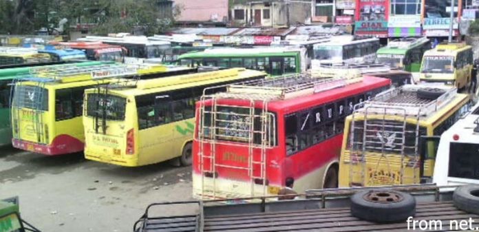 international-bus-service