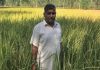 गांव ढक्की का प्रगतिशील किसान अमनदास 5 वर्षों से पराली को आग न लगाकर खेतों में ही कर रहा है प्रबंधन