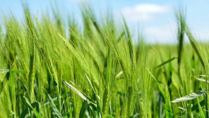 farming-krishi-sampannata-yojna
