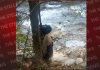 चंबा: चुमीनू गांव में मिला पेड़ पर लटका शव, पुलिस ने शुरू की जांच
