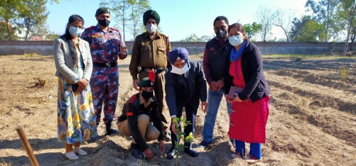 tanda-clg-ncc-treeplantation