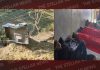 पावर लाईन का काम करने जा रहे मज़दूरों की ट्राली पलटी, 3 की मौत, 12 घायल