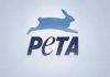 India leads in animal protection over cosmetics row