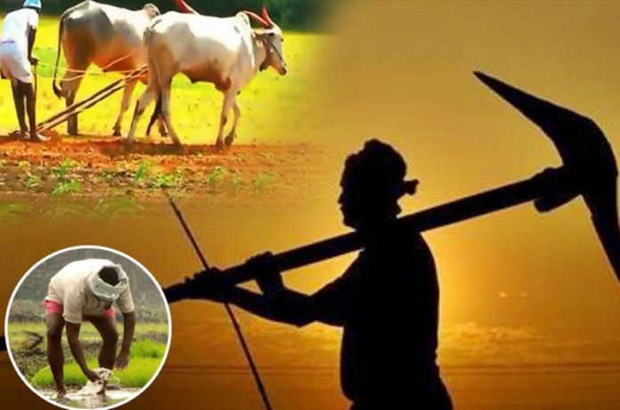kisan-diwas