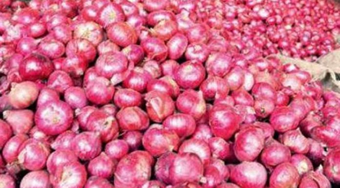 onion'
