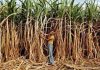 Ministry of Agriculture & Farmers Welfare gives Year-End Review -2022
