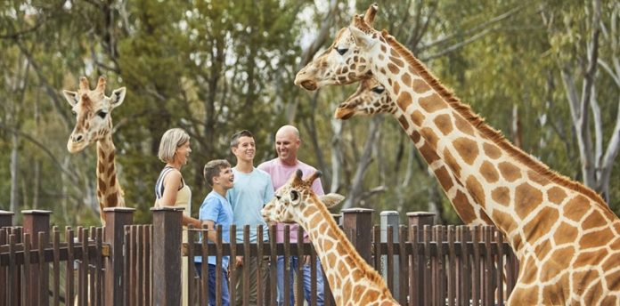 zoo
