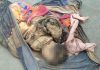 बस स्टैंड के समीप खाली प्लाट से अज्ञात शव बरामद, पुलिस ने शुरू की जांच