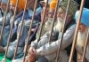 सिंघु व गाजीपुर बार्डर पर “किसान बार्डर खाली करो” के नारे लगाकर स्थानीय लोगों ने जताया रोष