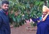 पांच वर्ष के पौधे पर लगे सैकड़ों रूद्राक्ष