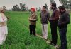 ਸੁਪਰ/ਹੈਪੀ ਸੀਡਰ ਮਸ਼ੀਨ, ਝੋਨੇ ਦੀ ਪਰਾਲੀ ਦੀ ਸੰਭਾਲ ਤੇ ਕਣਕ ਦੀ ਬਿਜਾਈ ਲਈ ਬੇਹਤਰ ਵਿਕਲਪ: ਡਾ.ਅਮਰੀਕ