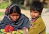 80 बेसहारा बच्चों के पालन के लिए हर माह दिए जा रहे हैं ढाई हजार रुपये: डीसी