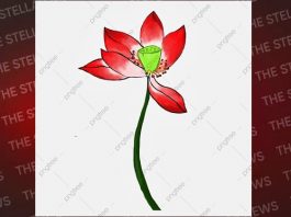 जो सीटें थीं नाक का सवाल वहां नाक ही कट गई: भाजपा के तीन-तीन दिग्गज-नहीं बचा पाए इज्जत