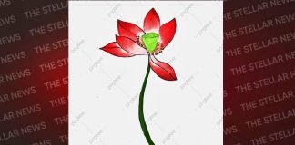जो सीटें थीं नाक का सवाल वहां नाक ही कट गई: भाजपा के तीन-तीन दिग्गज-नहीं बचा पाए इज्जत