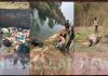 कंडी नहर में मृत गौधन, प्रदूषित हो रहा पानी, नींद में प्रशासन, धार्मिक स्थल से लौट रहे युवाओं ने की पहल